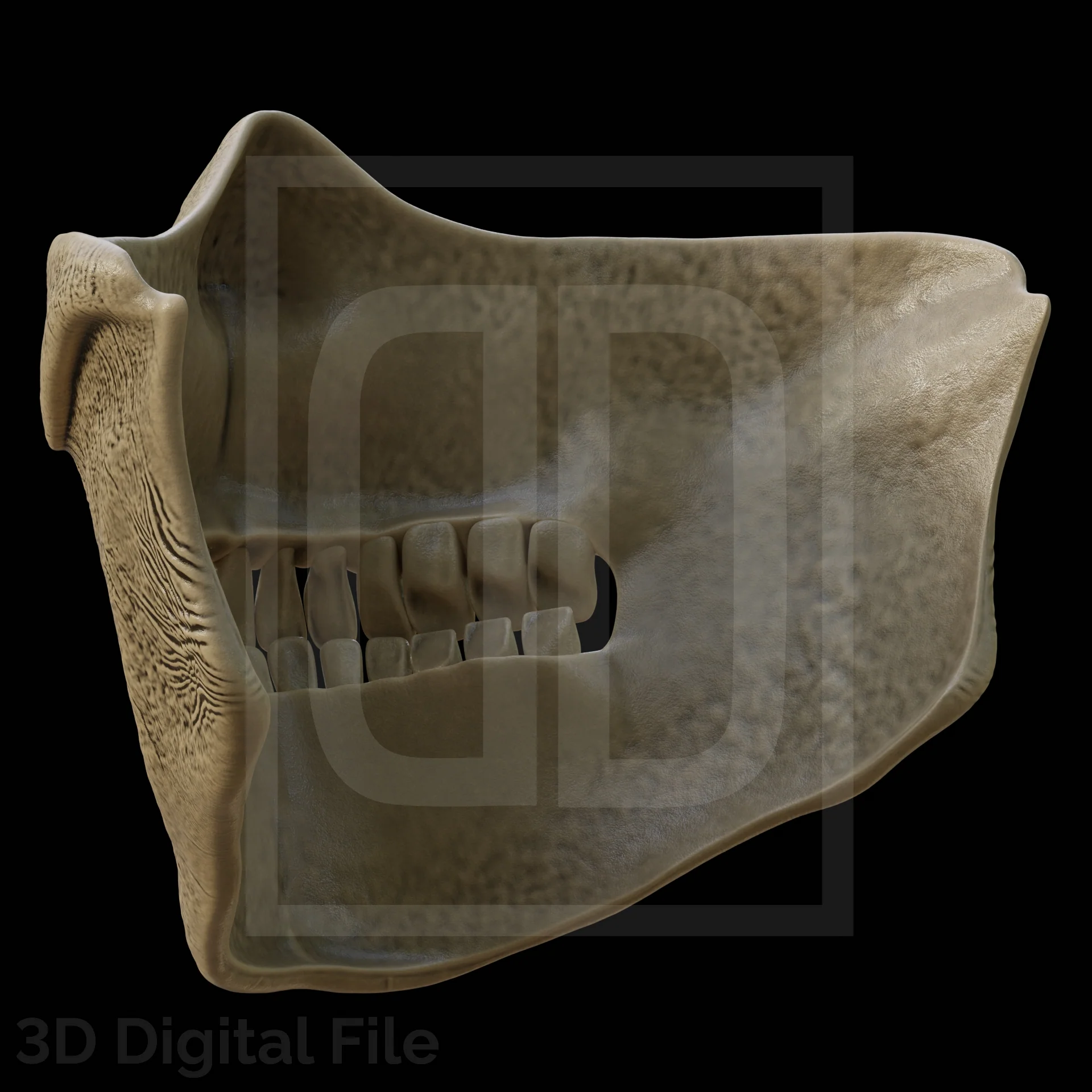 Death Goddess Mask 3D Model - Image 7