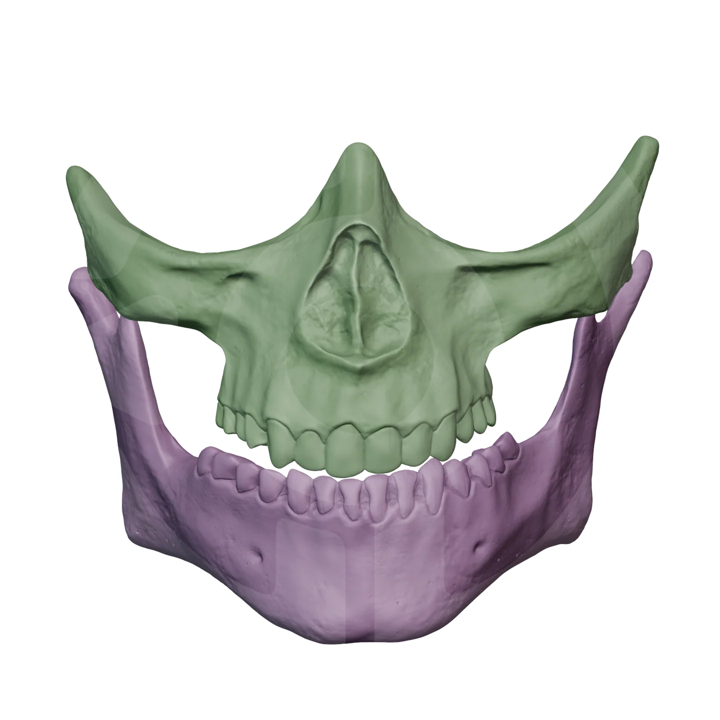 Higgs Skull Mask File - Image 2