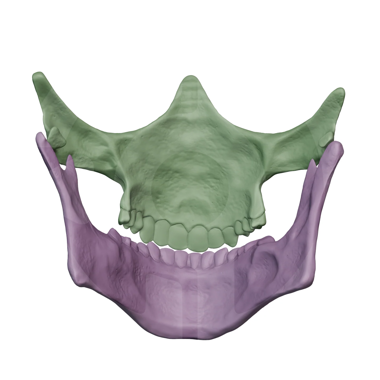Higgs Skull Mask File - Image 6